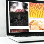 How To Buy a Psychedelics Themed Website Without Getting Burned